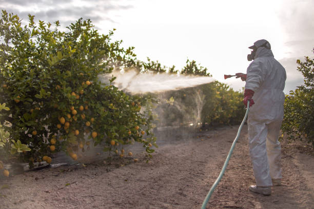 Pest Control for Restaurants in Freedom, CA